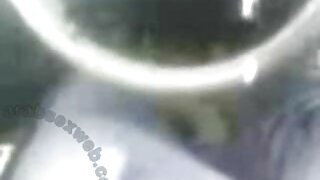 Uma cadela peituda está chupando pandanarum